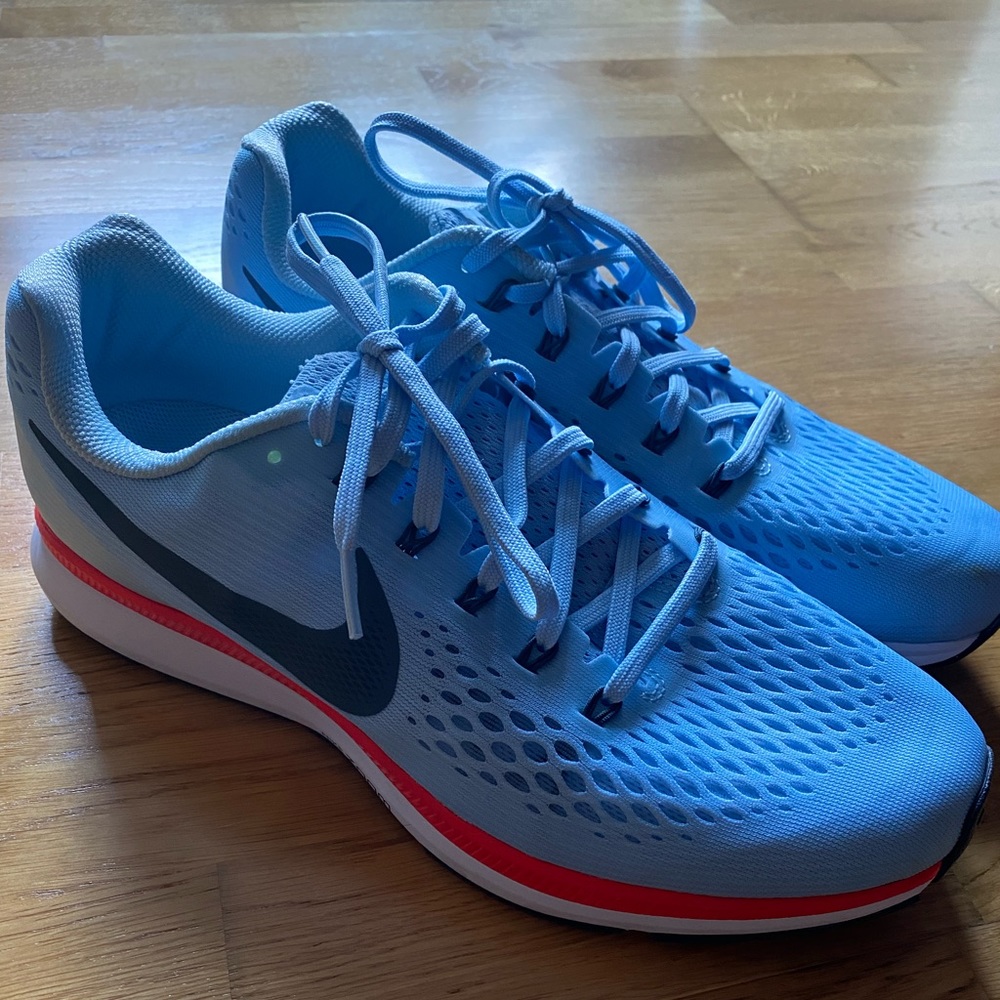 Nike Pegasus 34 OG Breaking 2 colour way